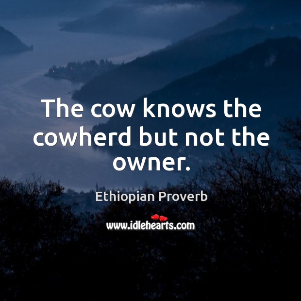 The cow knows the cowherd but not the owner. Ethiopian Proverbs Image