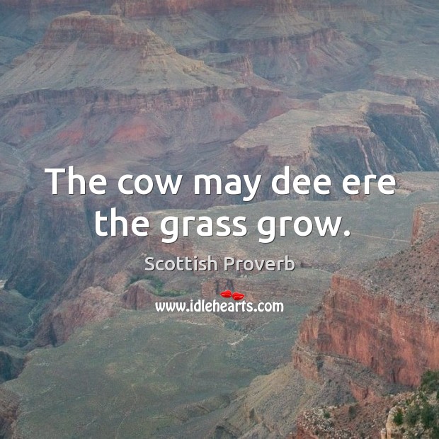 The cow may dee ere the grass grow. Scottish Proverbs Image