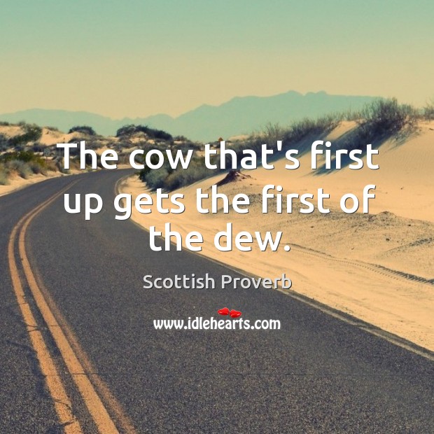 The cow that’s first up gets the first of the dew. Scottish Proverbs Image