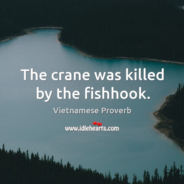 The crane was killed by the fishhook. Vietnamese Proverbs Image