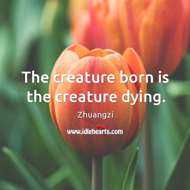 The creature born is the creature dying. Zhuangzi Picture Quote