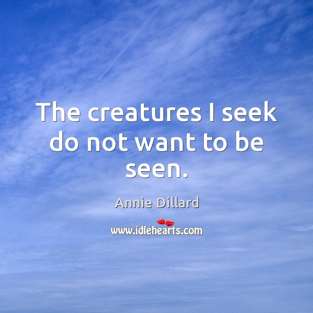 The creatures I seek do not want to be seen. Annie Dillard Picture Quote