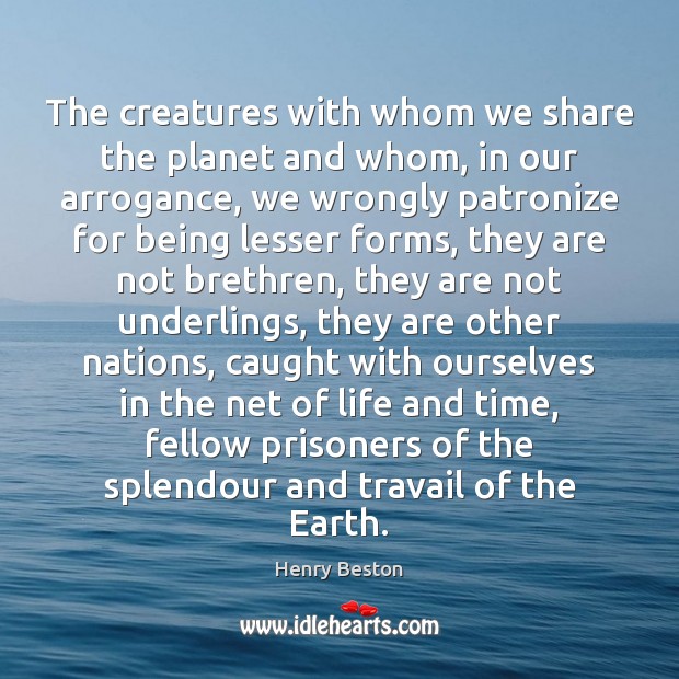 The creatures with whom we share the planet and whom, in our Image