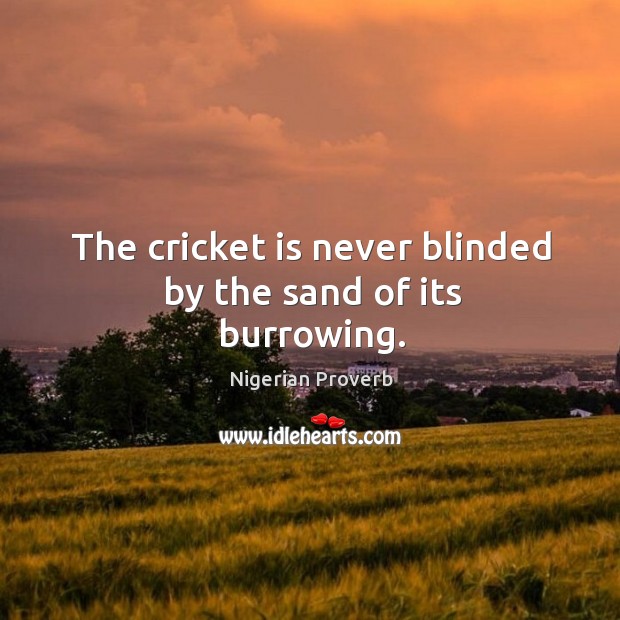 The cricket is never blinded by the sand of its burrowing. Nigerian Proverbs Image