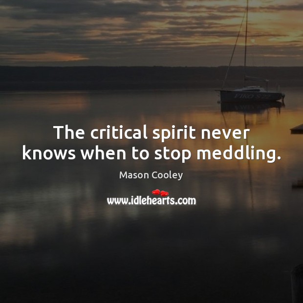 The critical spirit never knows when to stop meddling. Mason Cooley Picture Quote