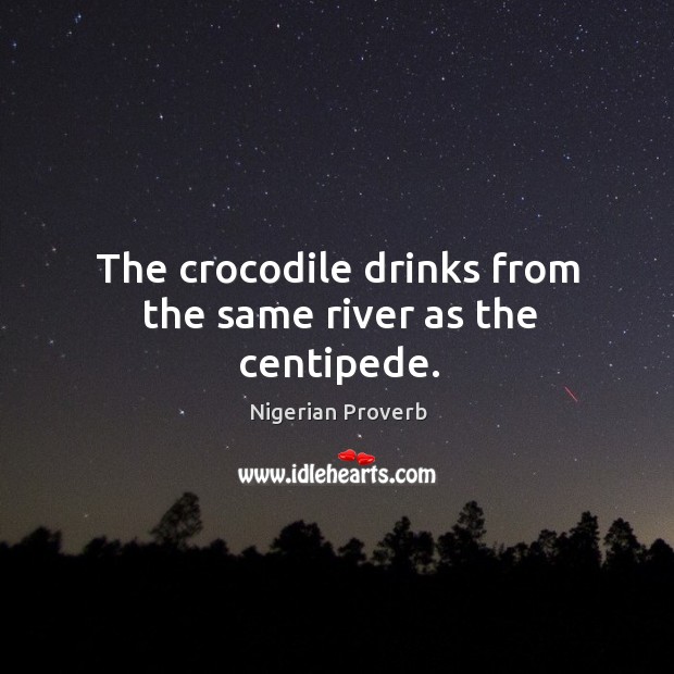 The crocodile drinks from the same river as the centipede. Nigerian Proverbs Image