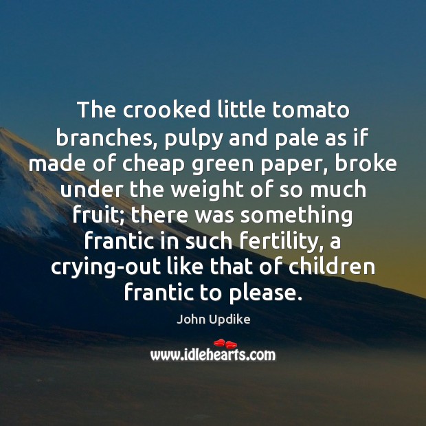 The crooked little tomato branches, pulpy and pale as if made of John Updike Picture Quote