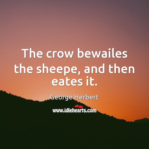 The crow bewailes the sheepe, and then eates it. Image