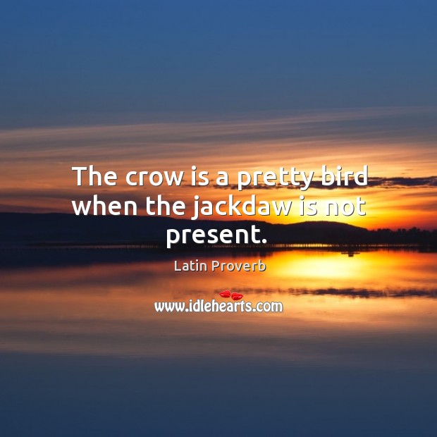 The crow is a pretty bird when the jackdaw is not present. Image