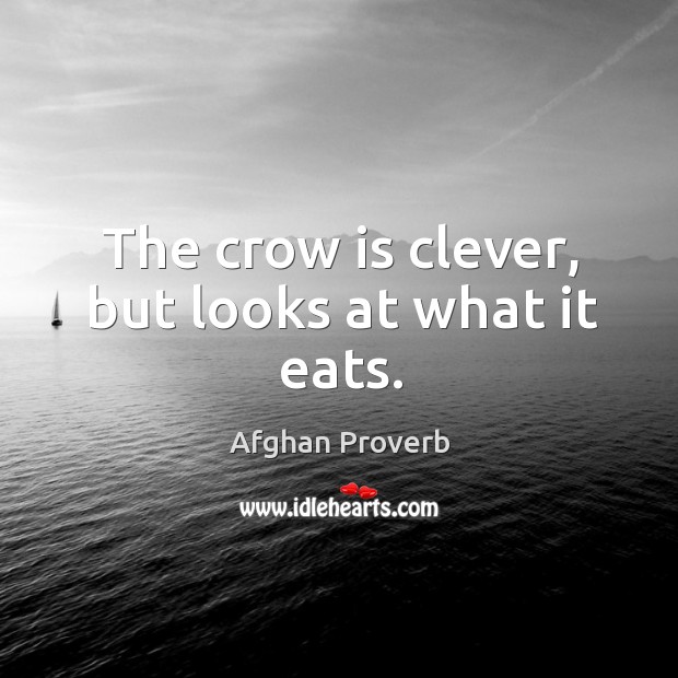 The crow is clever, but looks at what it eats. Afghan Proverbs Image