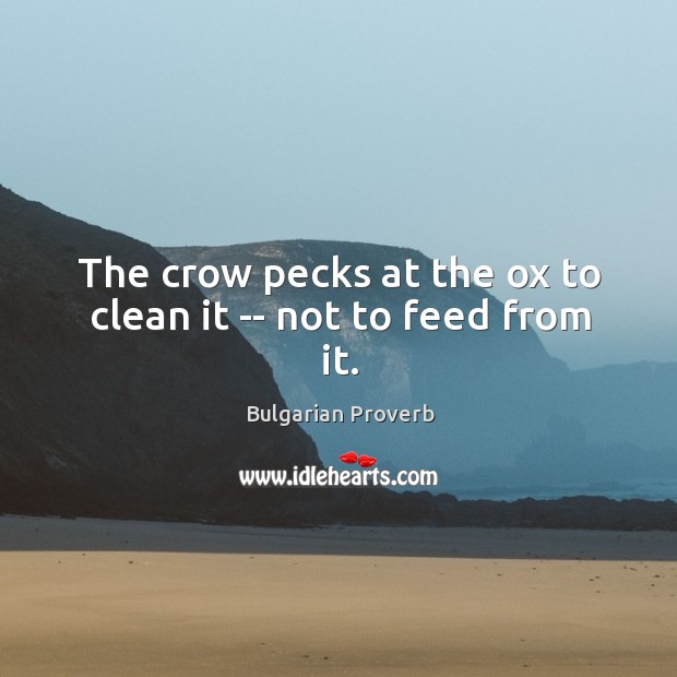 The crow pecks at the ox to clean it — not to feed from it. Bulgarian Proverbs Image
