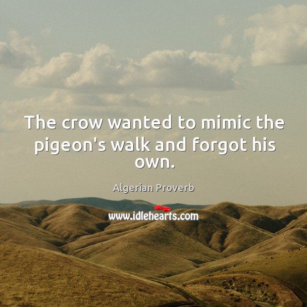 The crow wanted to mimic the pigeon’s walk and forgot his own. Algerian Proverbs Image
