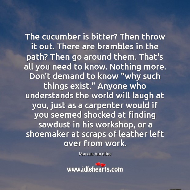 The cucumber is bitter? Then throw it out. There are brambles in Marcus Aurelius Picture Quote
