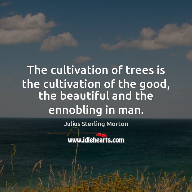 The cultivation of trees is the cultivation of the good, the beautiful Julius Sterling Morton Picture Quote