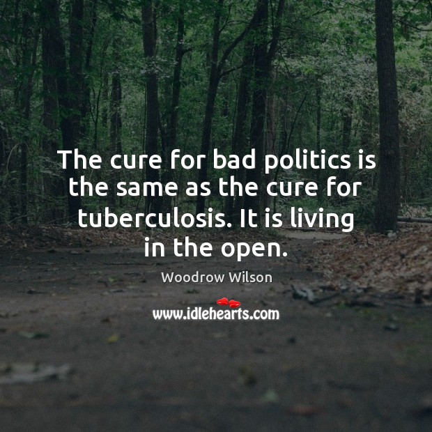 The cure for bad politics is the same as the cure for Woodrow Wilson Picture Quote
