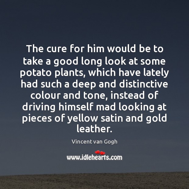 The cure for him would be to take a good long look Vincent van Gogh Picture Quote