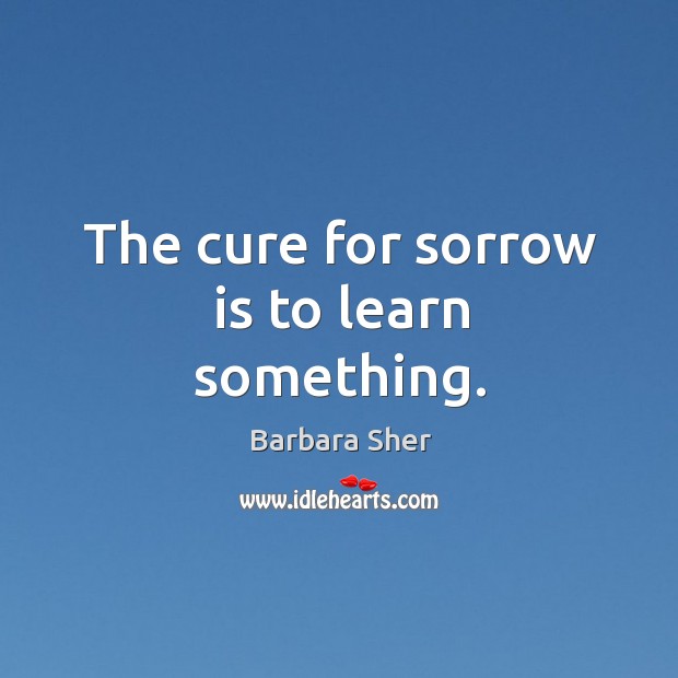 The cure for sorrow is to learn something. Barbara Sher Picture Quote