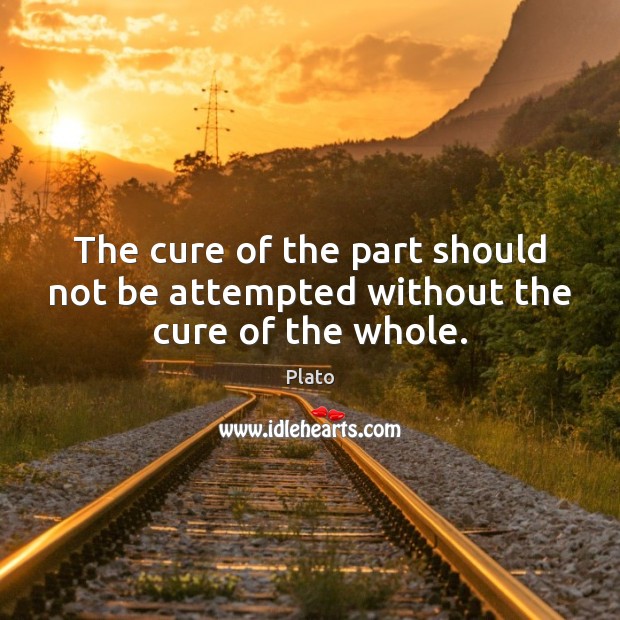 The cure of the part should not be attempted without the cure of the whole. Image