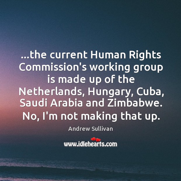 …the current Human Rights Commission’s working group is made up of the Andrew Sullivan Picture Quote