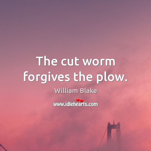 The cut worm forgives the plow. William Blake Picture Quote