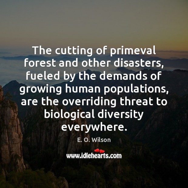 The cutting of primeval forest and other disasters, fueled by the demands E. O. Wilson Picture Quote