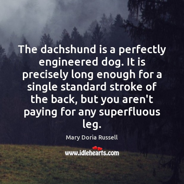 The dachshund is a perfectly engineered dog. It is precisely long enough Mary Doria Russell Picture Quote