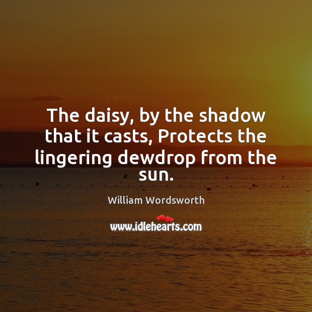 The daisy, by the shadow that it casts, Protects the lingering dewdrop from the sun. William Wordsworth Picture Quote
