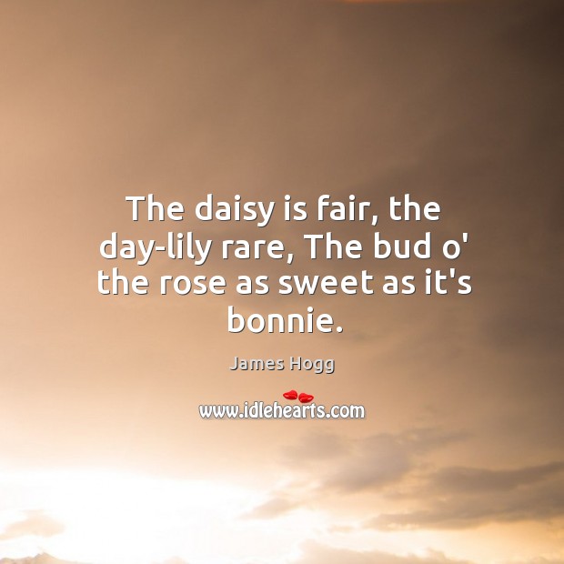 The daisy is fair, the day-lily rare, The bud o’ the rose as sweet as it’s bonnie. James Hogg Picture Quote