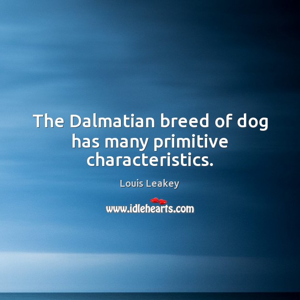 The Dalmatian breed of dog has many primitive characteristics. Louis Leakey Picture Quote