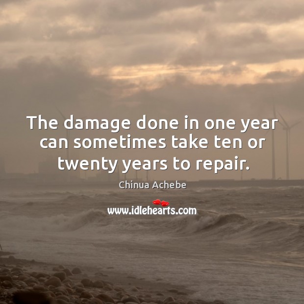 The damage done in one year can sometimes take ten or twenty years to repair. Chinua Achebe Picture Quote