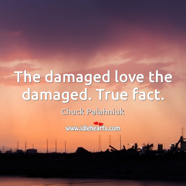 The damaged love the damaged. True fact. Chuck Palahniuk Picture Quote
