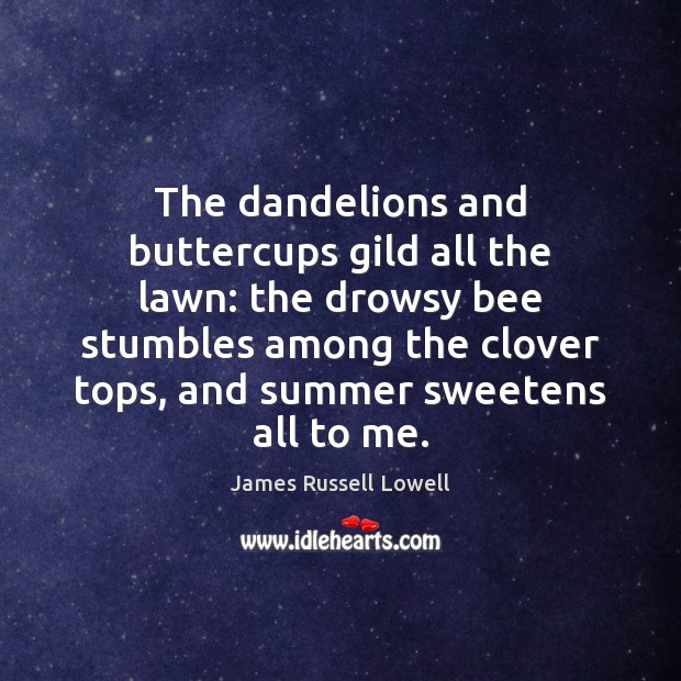 The dandelions and buttercups gild all the lawn: the drowsy bee stumbles Image