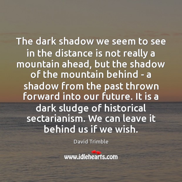 The dark shadow we seem to see in the distance is not David Trimble Picture Quote