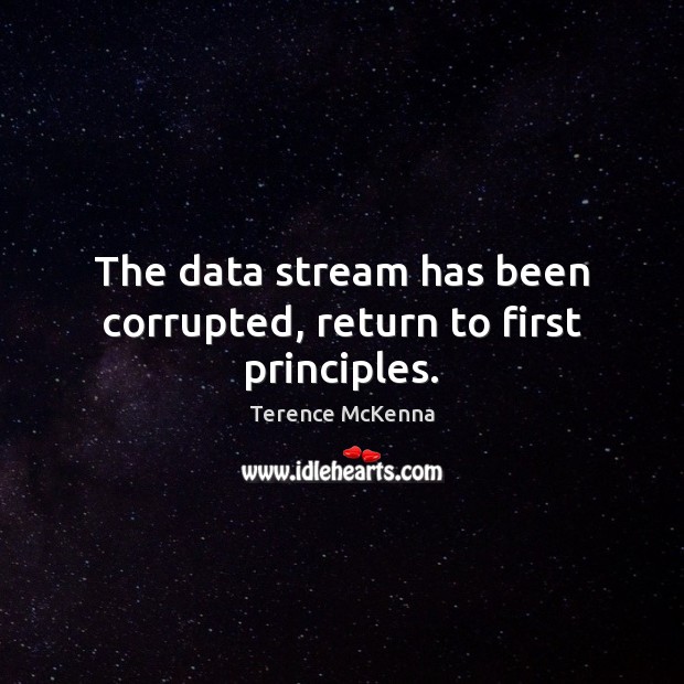 The data stream has been corrupted, return to first principles. Terence McKenna Picture Quote
