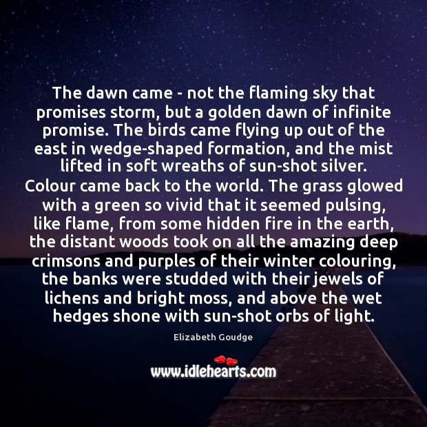 The dawn came – not the flaming sky that promises storm, but Elizabeth Goudge Picture Quote