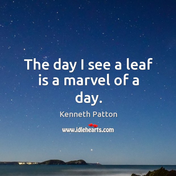 The day I see a leaf is a marvel of a day. Kenneth Patton Picture Quote