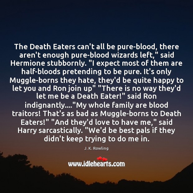 The Death Eaters can’t all be pure-blood, there aren’t enough pure-blood wizards Expect Quotes Image