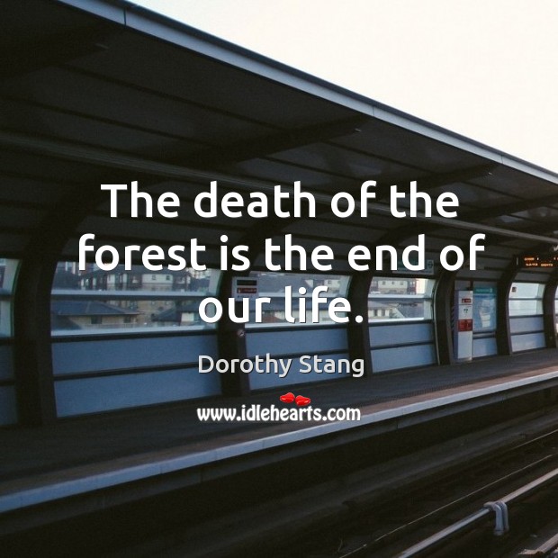 The death of the forest is the end of our life. Image