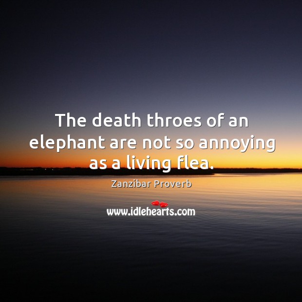 The death throes of an elephant are not so annoying as a living flea. Zanzibar Proverbs Image