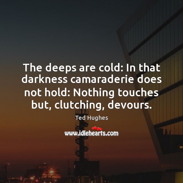 The deeps are cold: In that darkness camaraderie does not hold: Nothing Ted Hughes Picture Quote