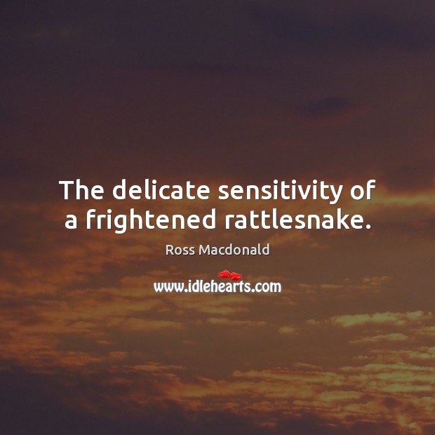 The delicate sensitivity of a frightened rattlesnake. Ross Macdonald Picture Quote