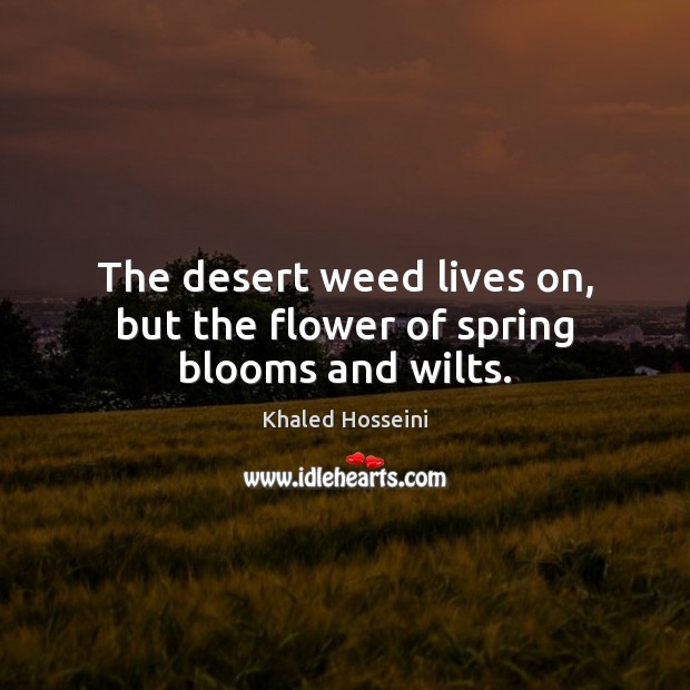 The desert weed lives on, but the flower of spring blooms and wilts. Khaled Hosseini Picture Quote