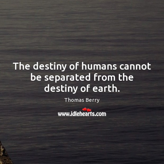 The destiny of humans cannot be separated from the destiny of earth. Thomas Berry Picture Quote