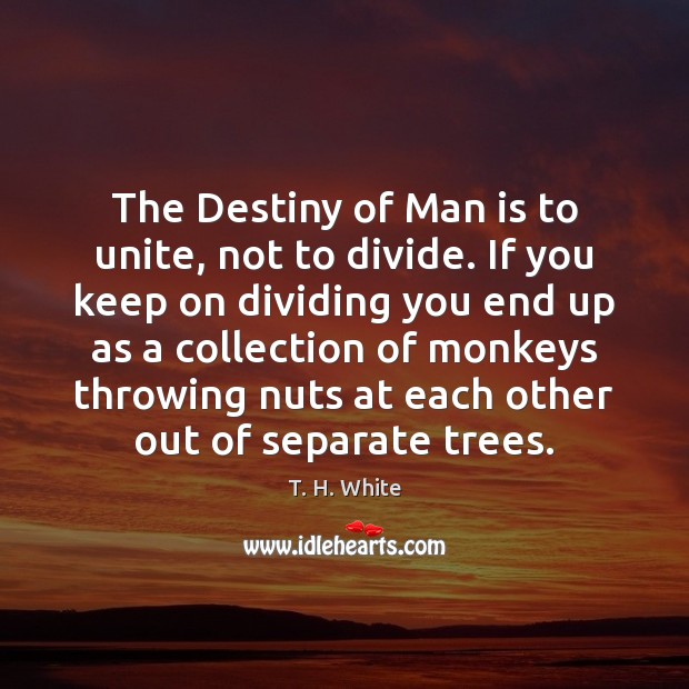 The Destiny of Man is to unite, not to divide. If you T. H. White Picture Quote