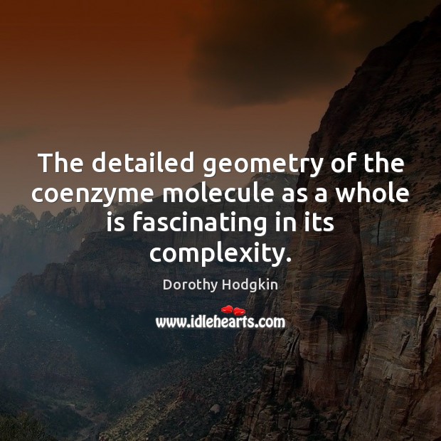The detailed geometry of the coenzyme molecule as a whole is fascinating Dorothy Hodgkin Picture Quote