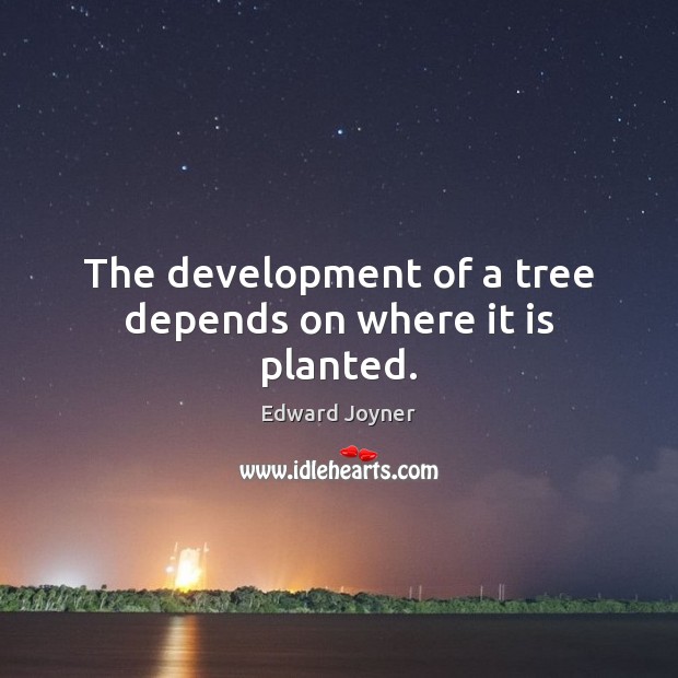 The development of a tree depends on where it is planted. Edward Joyner Picture Quote