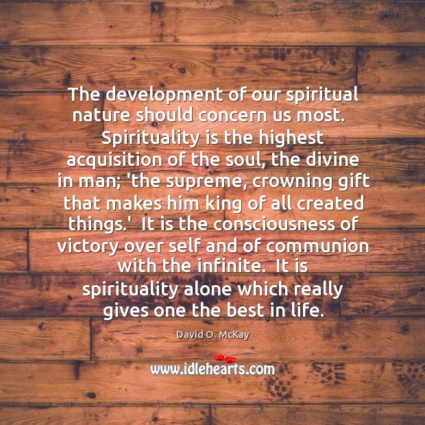 The development of our spiritual nature should concern us most.   Spirituality is David O. McKay Picture Quote