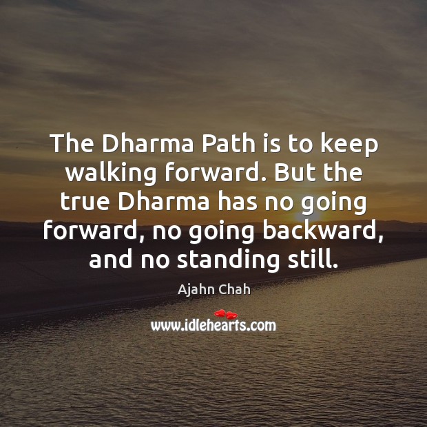 The Dharma Path is to keep walking forward. But the true Dharma Ajahn Chah Picture Quote