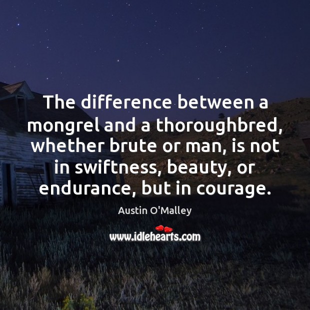 The difference between a mongrel and a thoroughbred, whether brute or man, Austin O’Malley Picture Quote