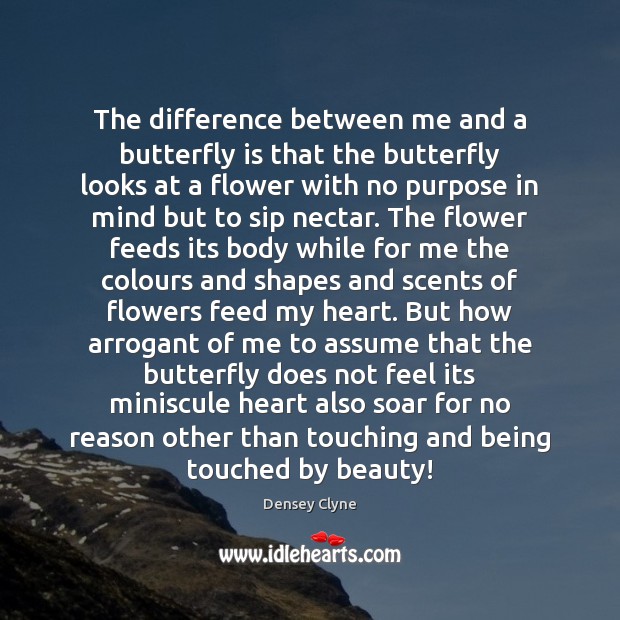 The difference between me and a butterfly is that the butterfly looks Densey Clyne Picture Quote